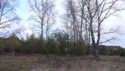 Церковь Покрова Пресвятой Богородицы, Место, где стояла церковь в с.Максино<br>, Максино, Клепиковский район, Рязанская область