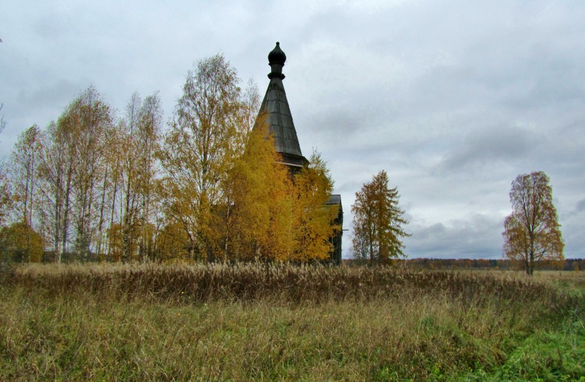 Церковь Рождества Пресвятой Богородицы, Красная Ляга, урочище (Каргопольский район, Архангельская область). дополнительная информация, церковище Богородице-Рождественской церкви на фоне Сретено-Михайловской церкви, вид с юга