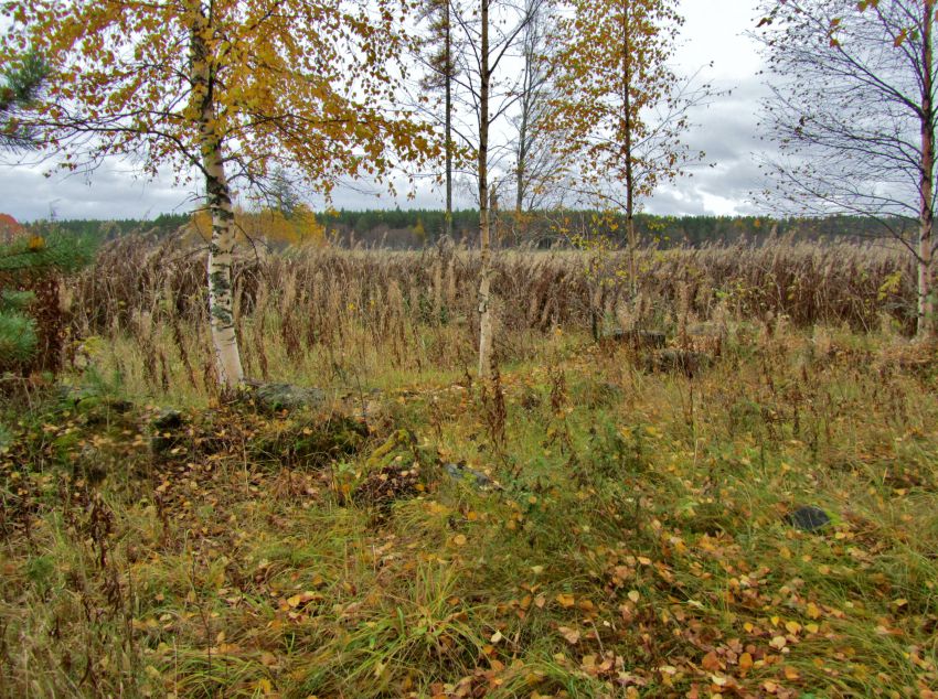 Церковь Рождества Пресвятой Богородицы, Красная Ляга, урочище (Каргопольский район, Архангельская область). фасады, остатки фундамента на месте алтарной апсиды