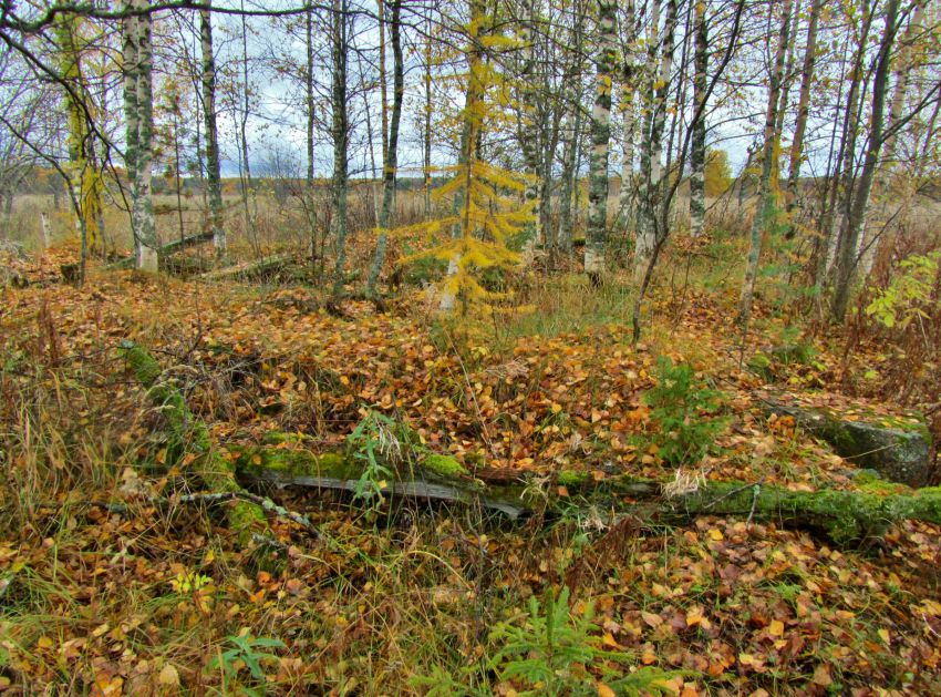 Церковь Рождества Пресвятой Богородицы, Красная Ляга, урочище (Каргопольский район, Архангельская область). фасады, остатки фундамента и венцов на месте основного объема
