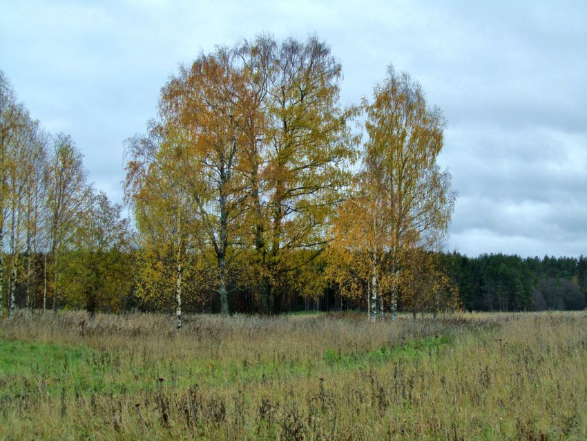 Церковь Рождества Пресвятой Богородицы, Красная Ляга, урочище (Каргопольский район, Архангельская область). фасады, западная часть церковища (место колокольни и притвора), вид с севера