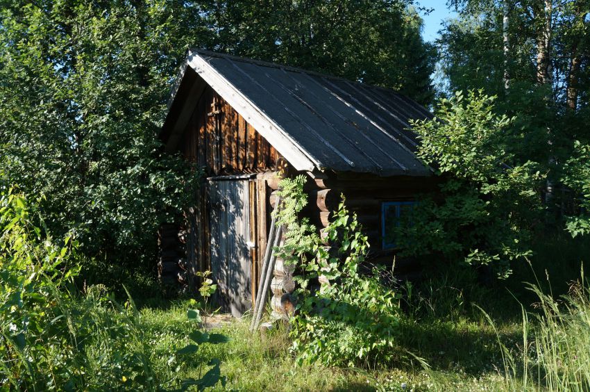 Неизвестная часовня, Шарпано (Семёновский ГО, Нижегородская область). общий вид в ландшафте