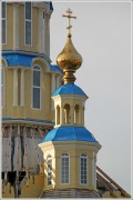 Церковь Благовещения Пресвятой Богородицы в Пригородном, , Санкт-Петербург, Санкт-Петербург, г. Санкт-Петербург