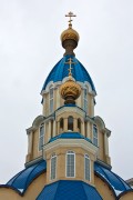Церковь Благовещения Пресвятой Богородицы в Пригородном, , Санкт-Петербург, Санкт-Петербург, г. Санкт-Петербург