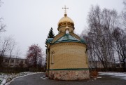 Церковь Илии Пророка, , Плишкари, Еловский район, Пермский край