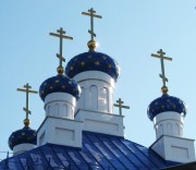 Церковь Смоленской иконы Божией Матери, Купола основного объема церкви<br>, Алёшково, Богородский район, Нижегородская область