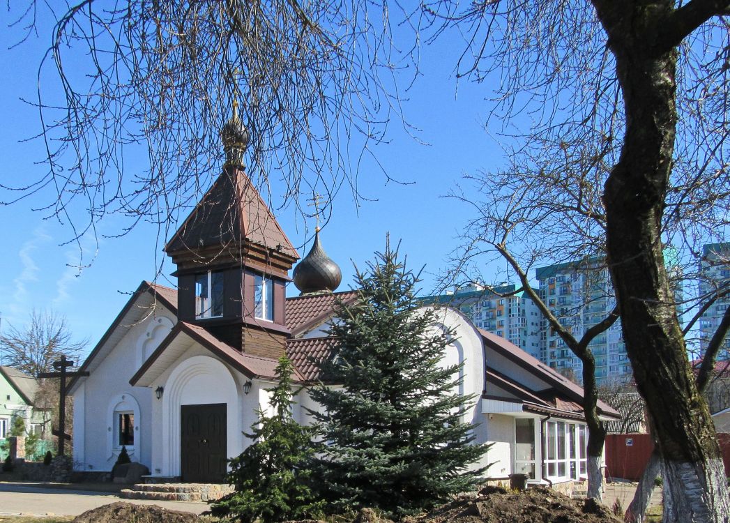 Церковь Владимира равноапостольного, Минск (Минск, город, Беларусь, Минская область). фасады