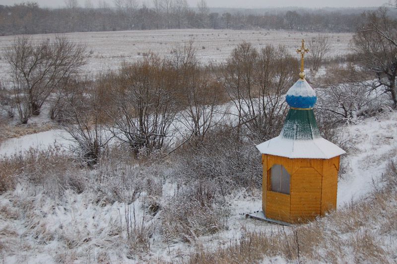 Долгое. Часовня Иоакима и Анны. общий вид в ландшафте