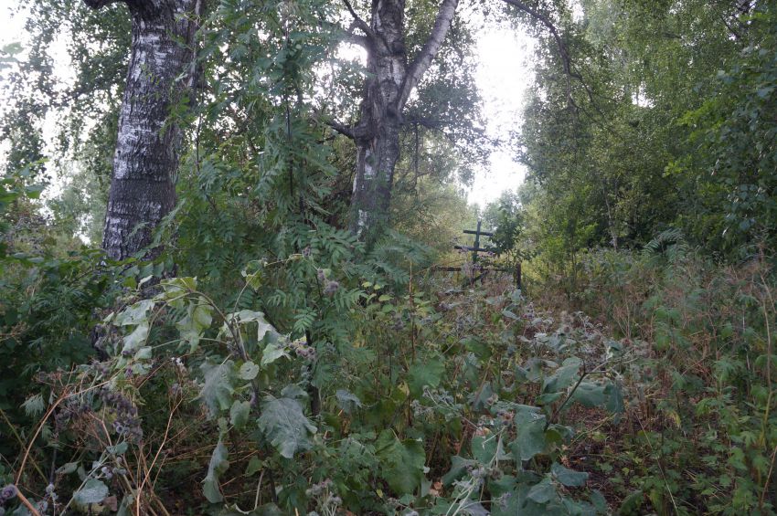 Церковь Казанской иконы Божией Матери, Васильково (Бор, ГО, Нижегородская область). общий вид в ландшафте, церковь разрушена до основания, месторасположение обусловлено характерными остатками фундамента и посадок деревьев вокруг бывшей церкви 