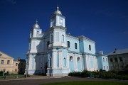 Кафедральный собор Рождества Христова, , Владимир, Владимирский район, Украина, Волынская область