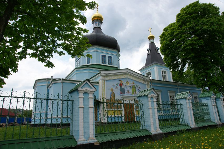 Церковь Троицы Живоначальной, Ржищев (Обуховский район, Украина, Киевская область). общий вид в ландшафте