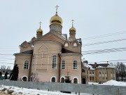 Церковь Митрофана Воронежского и Тихона Задонского в Сырском Руднике, Вид со стороны ул. Монтажников<br>, Липецк, Липецк, город, Липецкая область