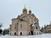 Липецк. Митрофана Воронежского и Тихона Задонского в Сырском Руднике, церковь