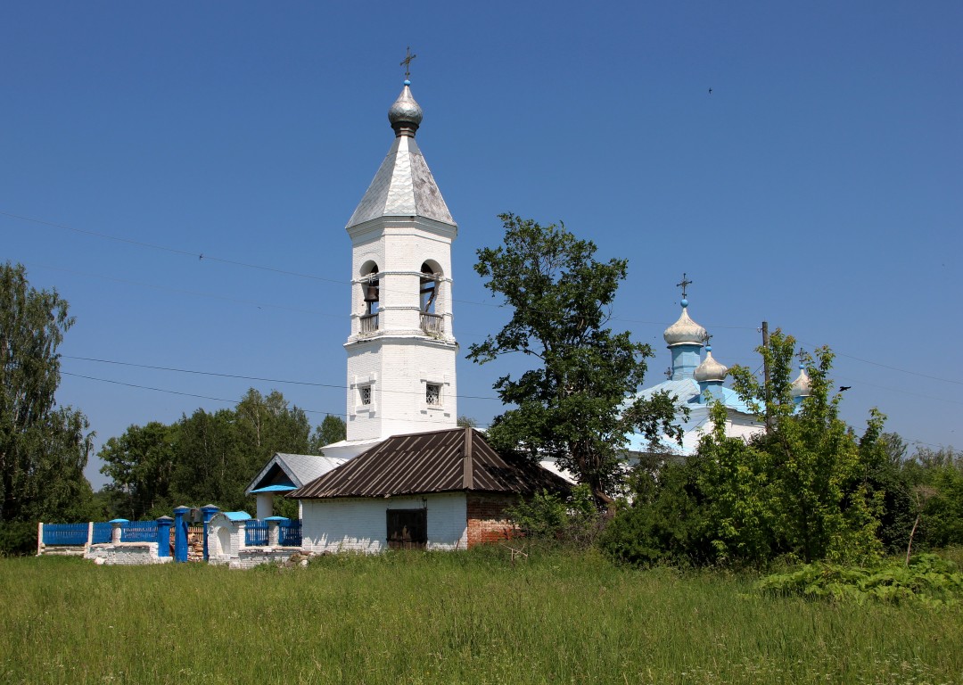 Церковь Троицы Живоначальной, Ральники (Малмыжский район, Кировская область). общий вид в ландшафте