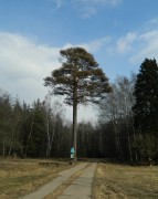 Мытищи. Серафима Саровского, часовня