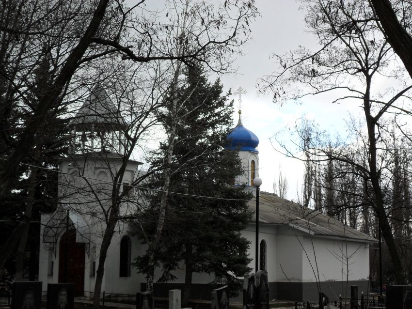 Луганск. Церковь Луки (Войно-Ясенецкого). общий вид в ландшафте