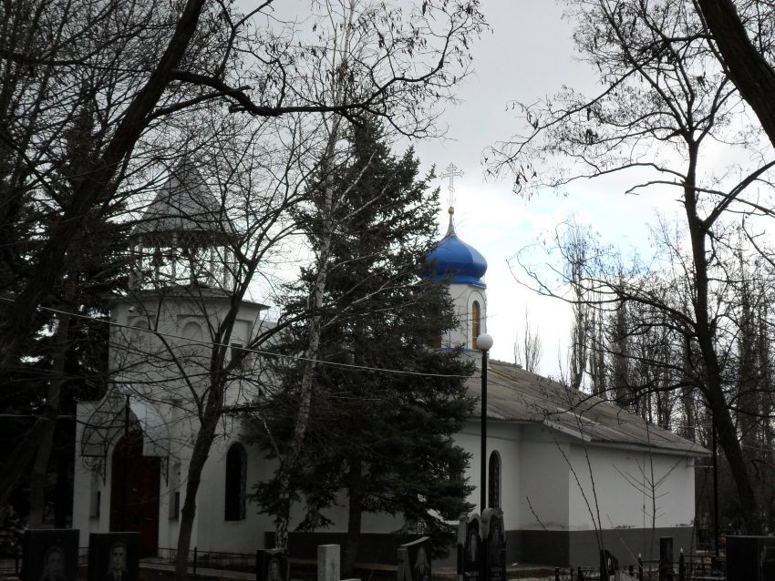 Церковь Луки (Войно-Ясенецкого), Луганск (Луганск, город, Украина, Луганская область). общий вид в ландшафте