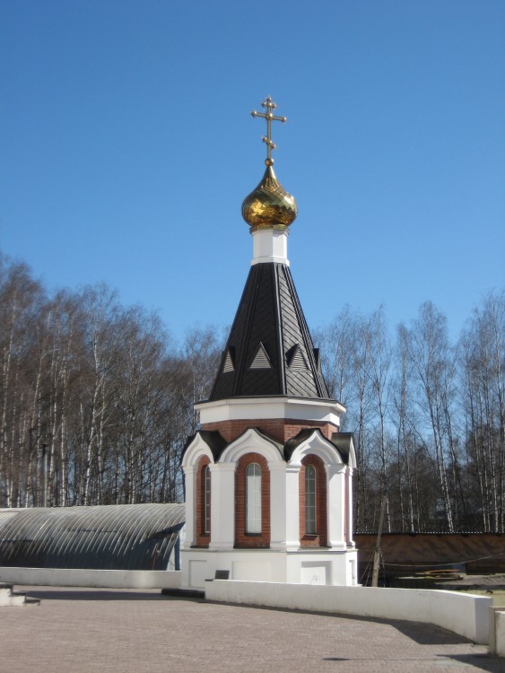 Часовня Сергия Радонежского, Мытищи (Мытищинский городской округ и гг. Долгопрудный, Лобня, Московская область). общий вид в ландшафте