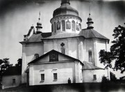 Церковь Успения Пресвятой Богородицы - Барышевка - Барышевский район - Украина, Киевская область
