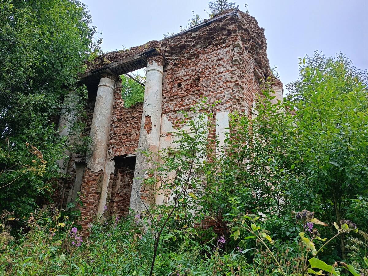 Церковь Илии Пророка, Абатуриха (Вожегодский район, Вологодская область). общий вид в ландшафте
