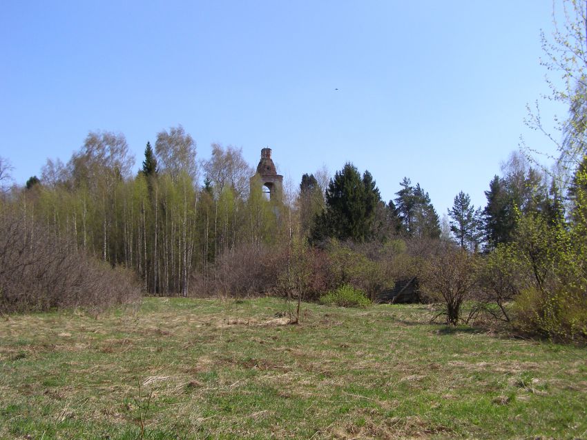 Церковь Рождества Пресвятой Богородицы, Нагорное, урочище (Островский район, Костромская область). общий вид в ландшафте