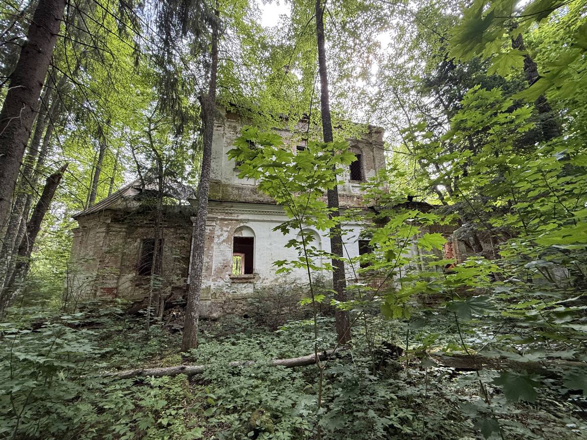 Церковь Рождества Пресвятой Богородицы, Нагорное, урочище (Островский район, Костромская область). фасады, Вид на основной объем с севера