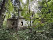 Церковь Рождества Пресвятой Богородицы, Вид на основной объем с севера<br>, Нагорное, урочище, Островский район, Костромская область