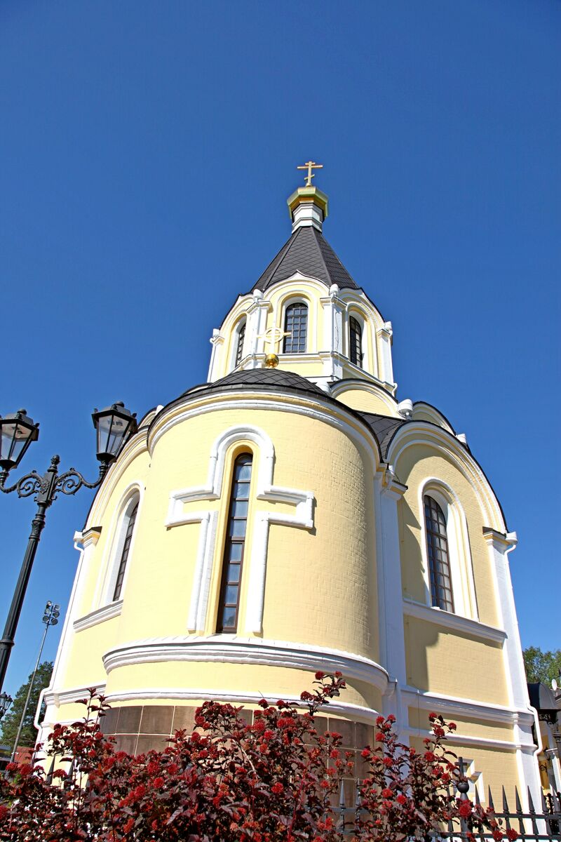 Церковь Александра Невского, Апраксин (Кировский район, Ленинградская область). фасады