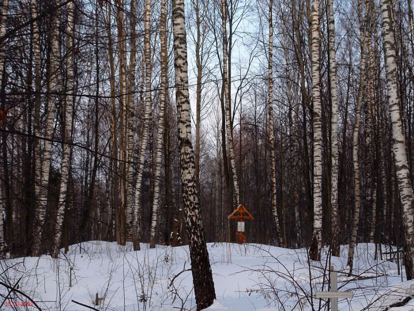Церковь Рождества Христова, Рождество-Вьюлки (Талдомский городской округ и г. Дубна, Московская область). общий вид в ландшафте