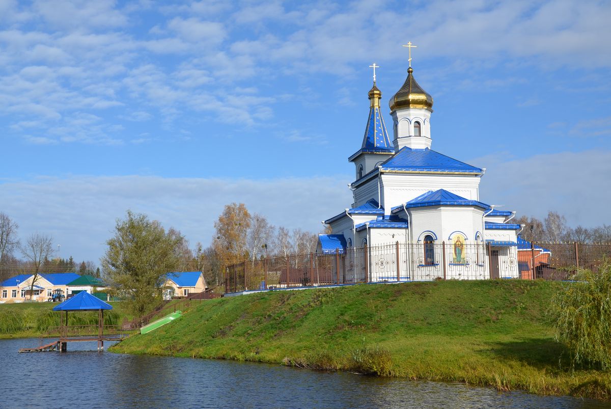 Церковь Владимирской иконы Божией Матери, Алешенка (Навлинский район, Брянская область). общий вид в ландшафте