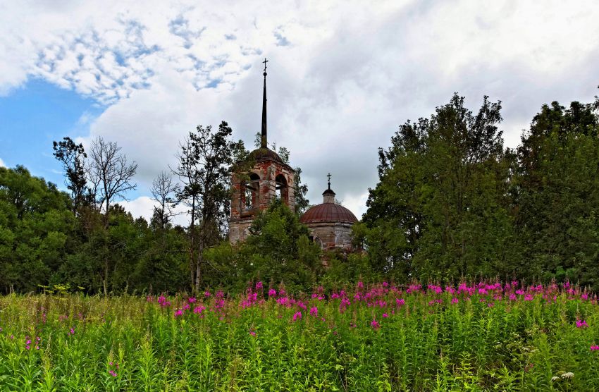 Церковь Николая Чудотворца, Турово (Кашинский городской округ, Тверская область). общий вид в ландшафте