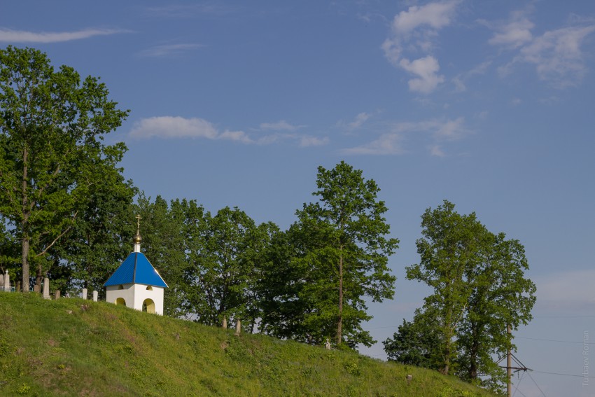 Неизвестная часовня, Волковичи (Новогрудский район, Беларусь, Гродненская область). общий вид в ландшафте