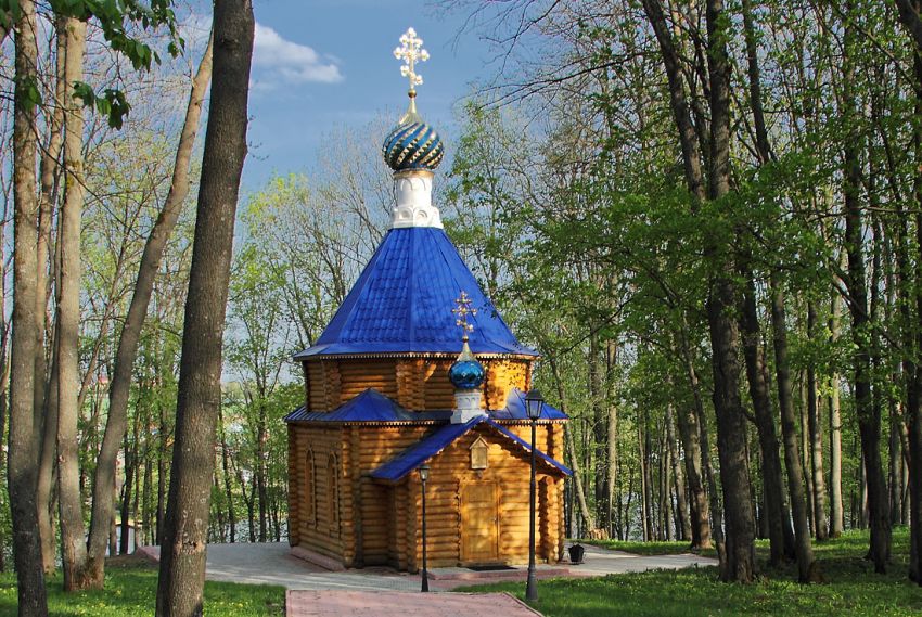 Иоанно-Богословский Макаровский мужской монастырь. Ближний скит. Церковь Феодора Ушакова, Макаровка (Саранск, город, Республика Мордовия). общий вид в ландшафте