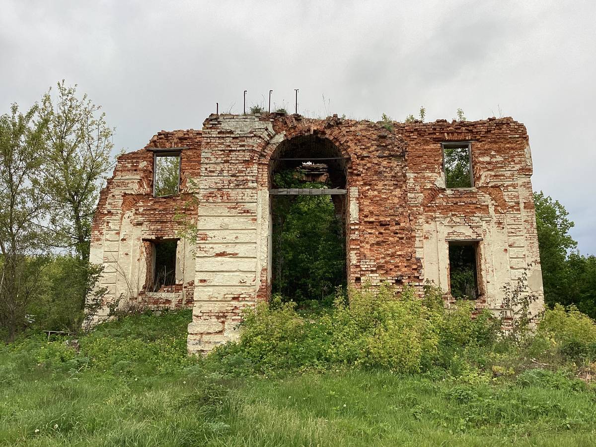 Вид с запада, фасады. Церковь Казанской иконы Божией Матери, Васильевка (Измалковский район, Липецкая область)