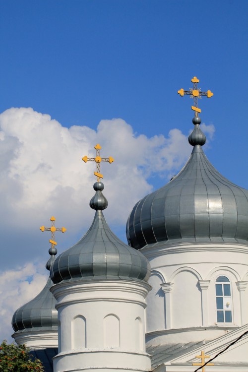 Пайгарма. Пайгармский Параскево-Вознесенский женский монастырь. Собор Вознесения Господня. архитектурные детали