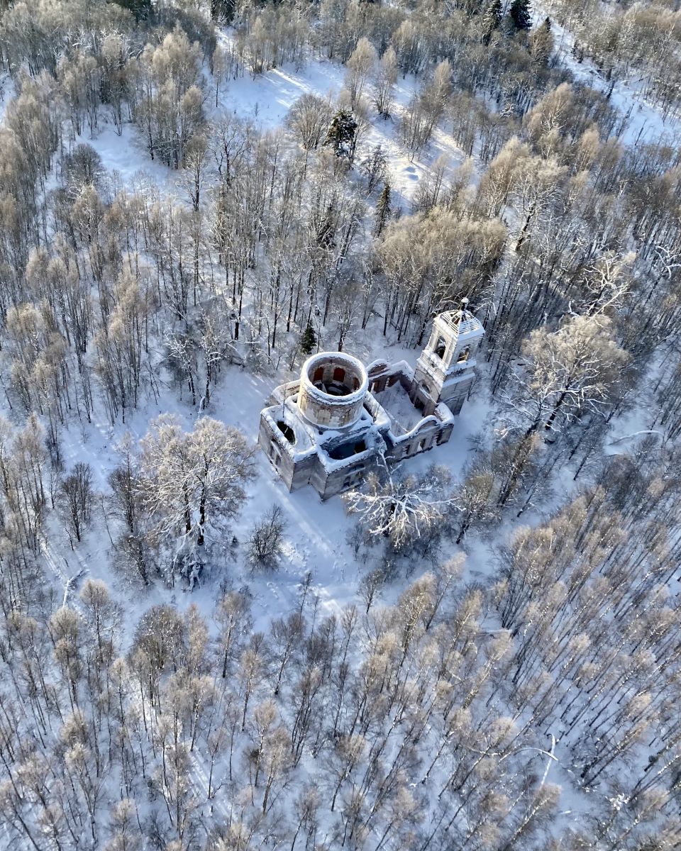 Церковь Митрофана Воронежского, Дубровка, урочище (Сандовский район, Тверская область). архитектурные детали, Сверху