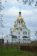 Ступино. Всех Святых, в земле Российской просиявших, церковь