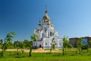 Церковь Всех Святых, в земле Российской просиявших - Ступино - Ступинский городской округ - Московская область