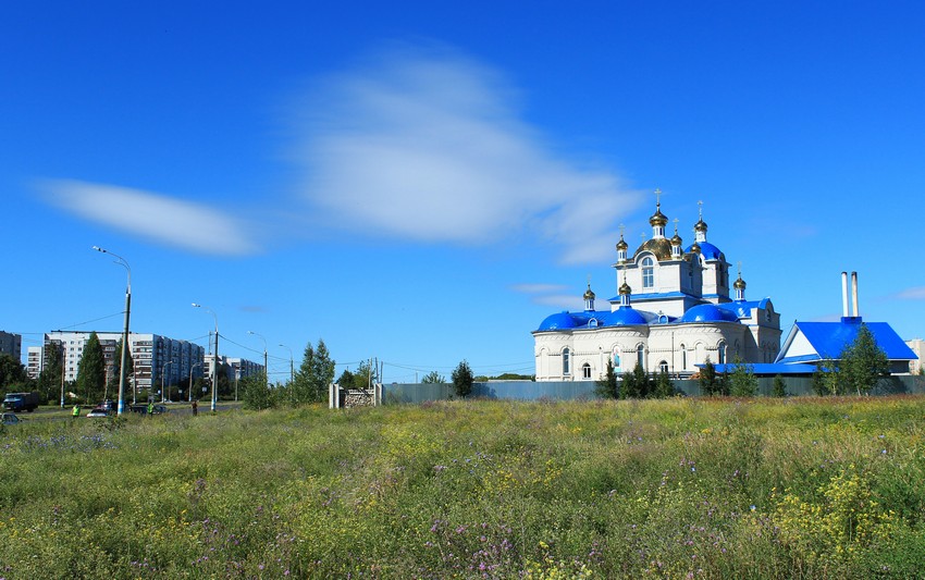 Церковь Николая Чудотворца в Новом городе, Ульяновск (Ульяновск, город, Ульяновская область). общий вид в ландшафте