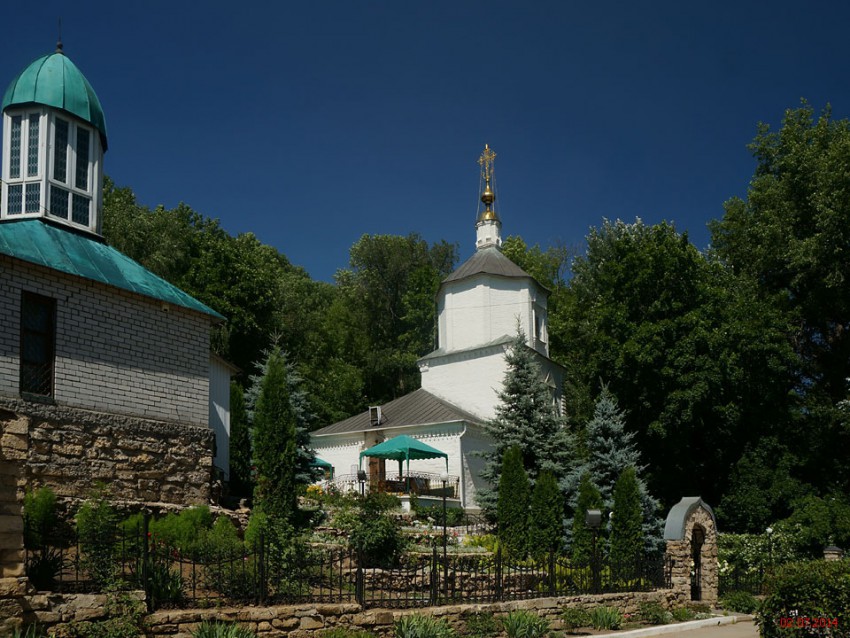 Липецк. Успенский Липецкий монастырь. общий вид в ландшафте