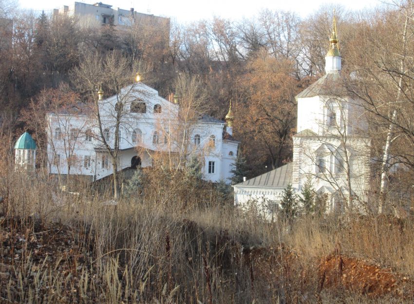 Успенский Липецкий монастырь, Липецк (Липецк, город, Липецкая область). общий вид в ландшафте