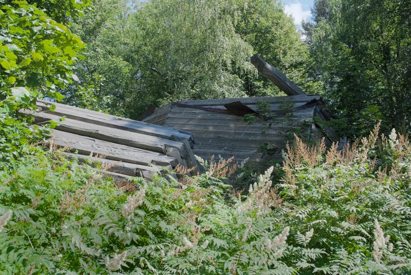 Детково. Церковь Воскресения Христова. общий вид в ландшафте