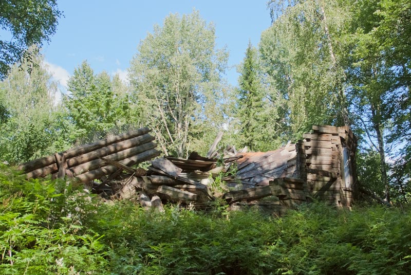Церковь Воскресения Христова, Детково (Сандовский район, Тверская область). общий вид в ландшафте
