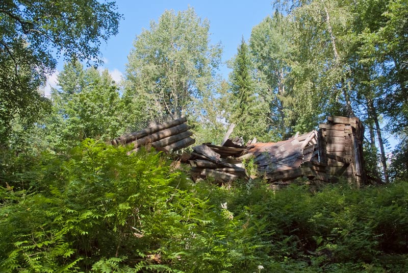 Детково. Церковь Воскресения Христова. общий вид в ландшафте