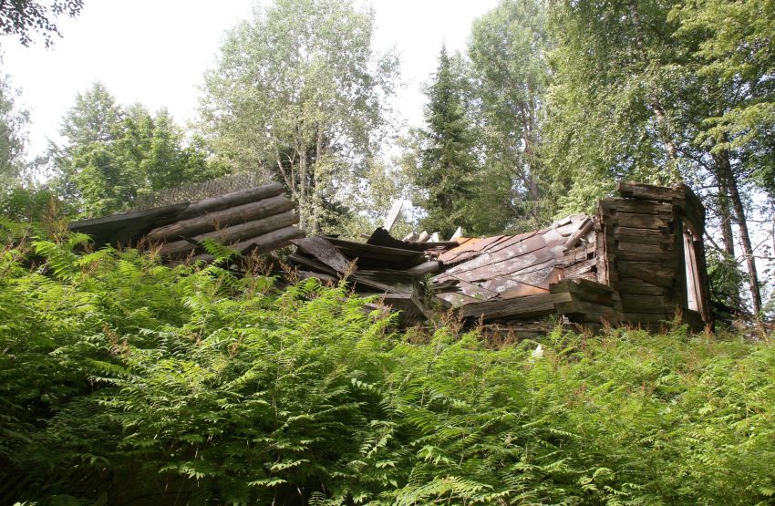 Церковь Воскресения Христова, Детково (Сандовский район, Тверская область). архитектурные детали