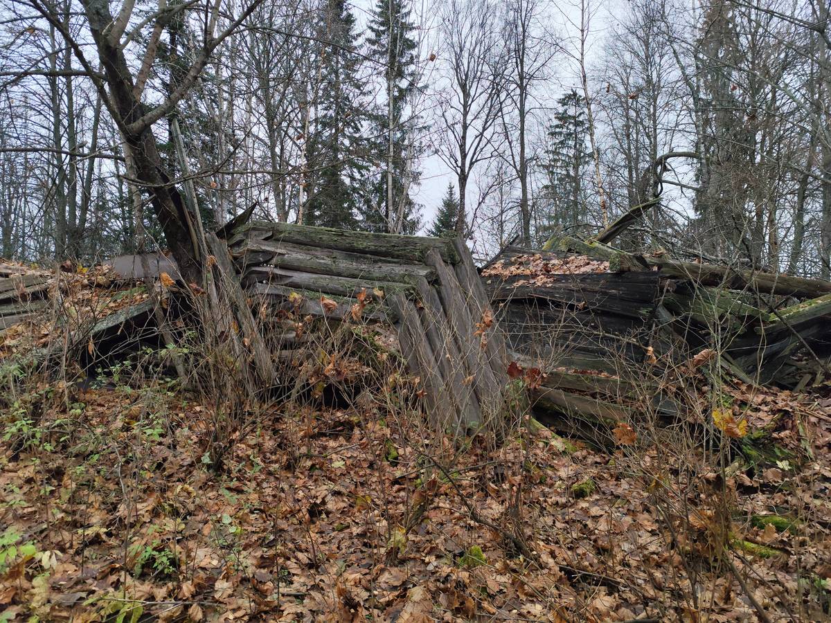 Церковь Воскресения Христова, Детково (Сандовский район, Тверская область). общий вид в ландшафте, Церковь все...
