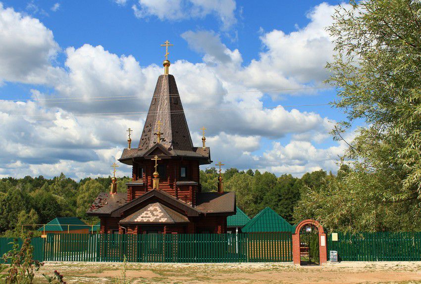Александро-Невский мужской монастырь, Старая Бинарадка (Красноярский район, Самарская область). общий вид в ландшафте