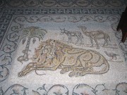 Монастырь Герасима Иорданского, Напольная мозаика с изображением льва Иордана, ослика и верблюда. Эти животные связаны с историей жизни Герасима Иорданского., Иудейская пустыня, Иерихон, Палестина, Прочие страны