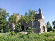 Церковь Троицы Живоначальной - Красиковщина - Псковский район - Псковская область