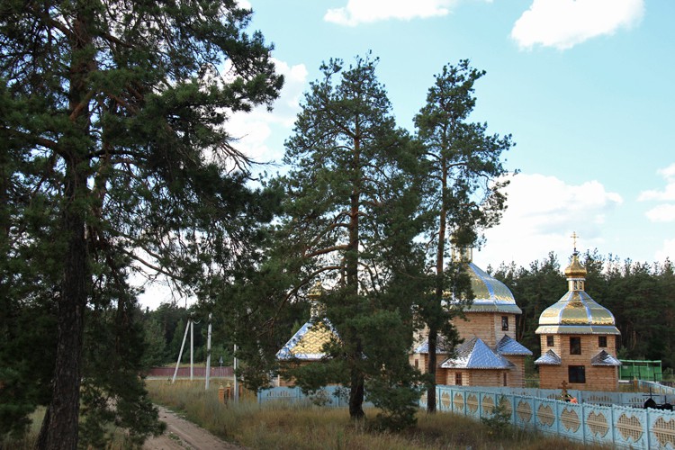 Церковь Матроны Московской, Белоомут (Луховицкий городской округ, Московская область). общий вид в ландшафте